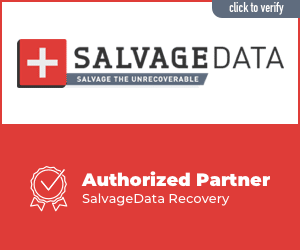 Salvage Data Authorized Partner